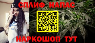 прущие грибы Первоуральск