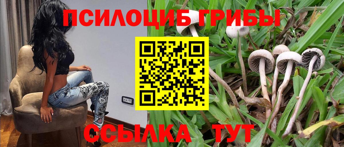 Углич  Галлюциногенные грибы GOLDEN TEACHER  Вход с VPN  Псилоцибиновые грибы ЛСД 